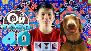 ОЙ ТОБО - 40 / ИТ FIGHT / МАЧО ПАЦАН / ТЫЙЫН САНАГЫЧ / КАНАЛГА ЖАЗЫЛГЫЛА