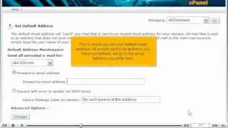 How to create a default (catch-all) email account in cPanel