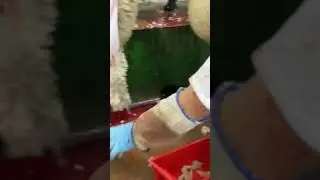 23 September 2020 - Australia meat processing