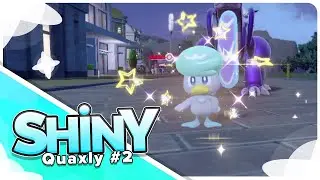 [Live] Shiny Quaxly #2 in 60 Eggs via Masuda Method!