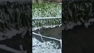 Южный Урал. Утро десятого....