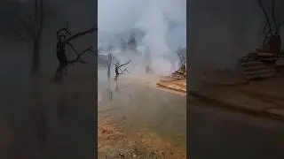 Горячие источники Кындыг. Выглядит, как другая планета. #гидсочи #абхазия #экскурсииабхазия #кындыг