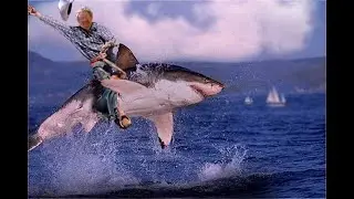 A Saudi man got on the Whale Shark's Back.