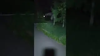 фонарик вело
