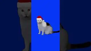 huh cat meme Christmas 