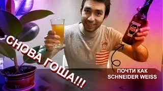 [Бородатое Пиво] - SW Original (Collab Brewery)