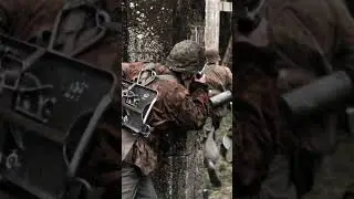 31-я добровольческая пехотная дивизия СС "Бачка" #германия #history #ww2 #cc #война #история