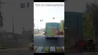 Что здесь происходит