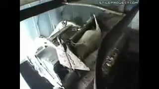 Animals Murder