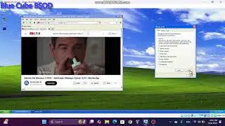Mr Wilson Screaming Has BSOD VM (Windows XP)