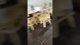 Катька Мурманская пошла в Ресторан 🔥Кружка 🔥(в Мурманске эфир 15.04.2023)