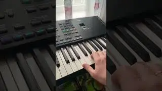 Viori folclor Korg pa5x