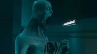 096 mfs when everyone triggers them - SCP SL