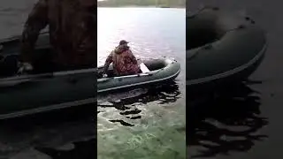 Ветерок 8