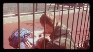 Вор ВНЕ закона ч.2