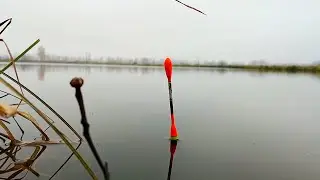 A CATCHY FLOAT RIG FOR BIG FISH IN USE
