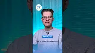 Мультиактивы в личном кабинете Whitelist