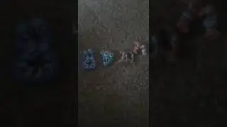 страшные цифры глава 3 лес