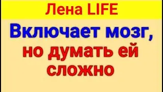 Лена LIFE. Обзор влогов. Уделает, как бог - черепаху. 27 06 2024 Лена
