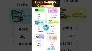 Master These Linux Commands to Rule Networking Like a Pro