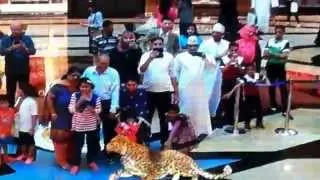 7D Video - Muscat Grand Mall