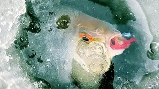 Бешеный клёв плотвы в глухозимье! Секретная мормышка выручает!