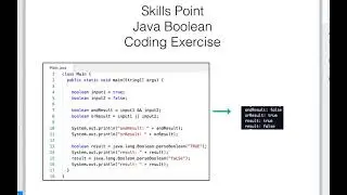 Data Structures Using Java: Primitive Data Types: boolean and char