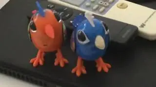 Digibirds Singing