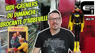 Geeklye Vide greniers d'Abbeville : DVD, 45 Tours, Déco, Verre à moutarde, jouets, peluche, T-shirt.