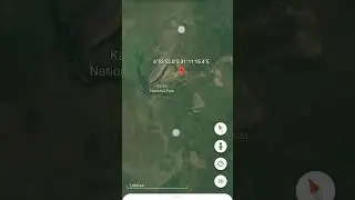 Herd of hippo 🦛 found on Earth #shortsviral