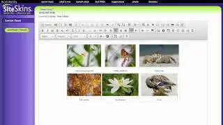 SiteSkins: Tables in the Text Editor (pt.2)
