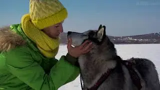 Baikal 23 28 03 3