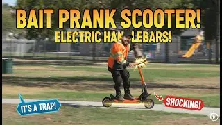 We Put Shock Collars On a Bait Scooter And THIS Happened!