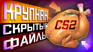 CS2 & CSGO Update 06/07/2023