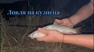 Ловля на кузнеца🎣 попался усачь#10k #рыбалка
