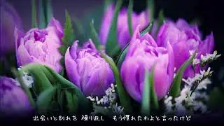 わさび 槇原敬之 歌詞付