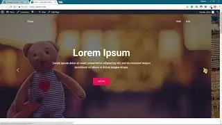 Buy WordPress Premium Themes and Plugins at 90 % Discount