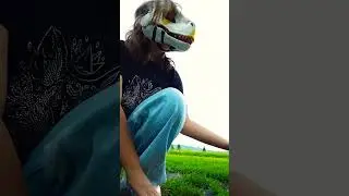 25 июня 2023 г.