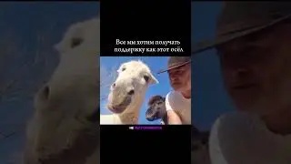 Всем нужна поддержка, но лучшая опора внутри.