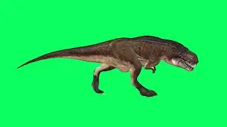 T-rex dinosaur walk cycle animation || Dinosaur 🦕 Green Screen Background 4k