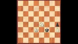 Chess Beauty #96