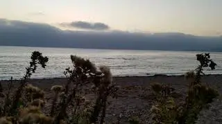 Nature in the wind