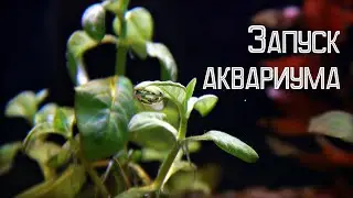 ТАЙМЕР, УДОБРЕНИЯ И ТЕСТЫ ДЛЯ АКВАРИУМА