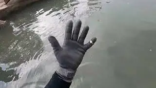 поиск утерянного колечка