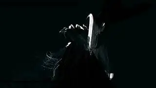 Patrik Lechner - rentel anastropy