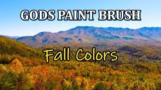 Gods Paint Brush of the Mountain Fall Colors