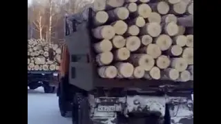 Зимник.Вывоз леса в Сибири.