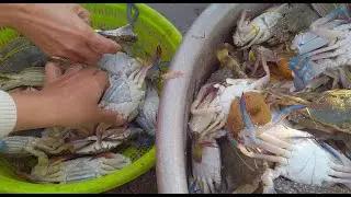 កំពត-KOMPOT TRIP Day2