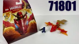 САМЫЙ ПЛОХОЙ НАБОР! Обзор LEGO NINJAGO 71801