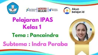 Pelajaran IPAS II Panca Indra II Meraba II kelas 1